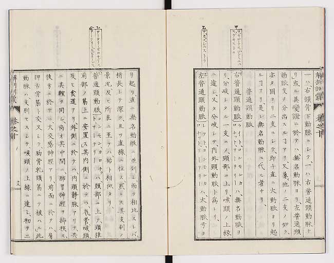 K0021s0318
