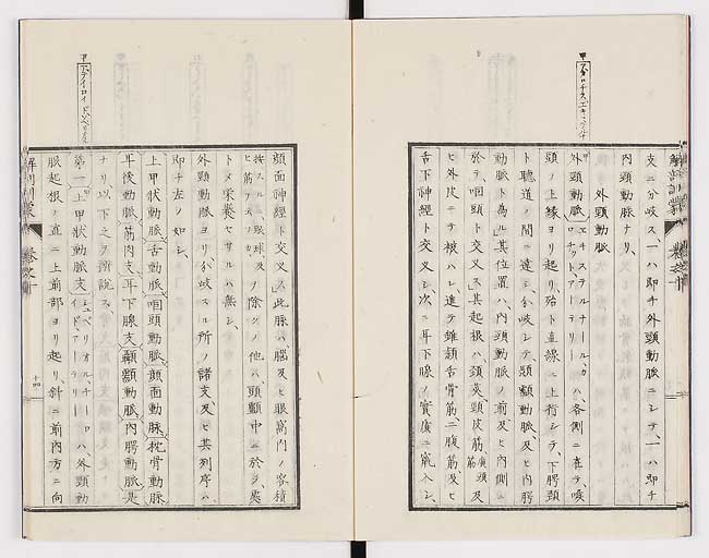 K0021s0319