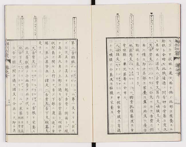 K0021s0320