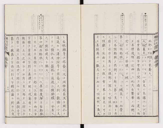 K0021s0321