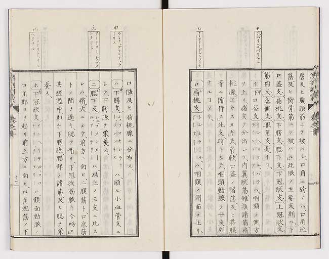K0021s0322