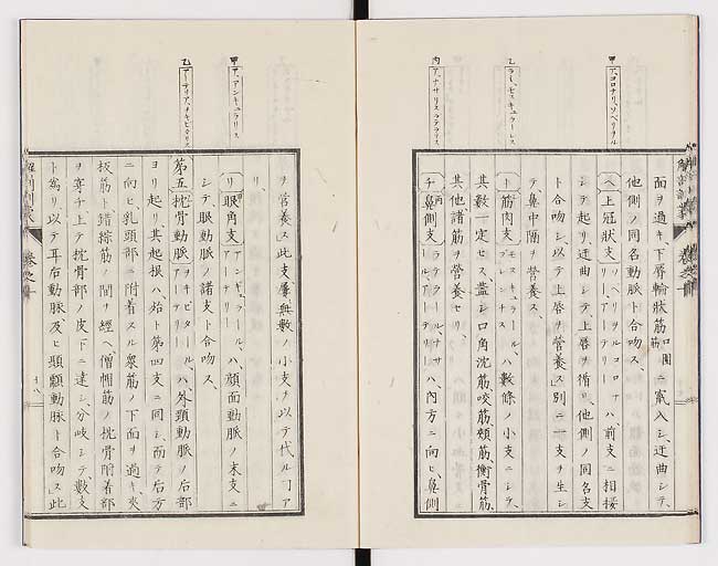 K0021s0323