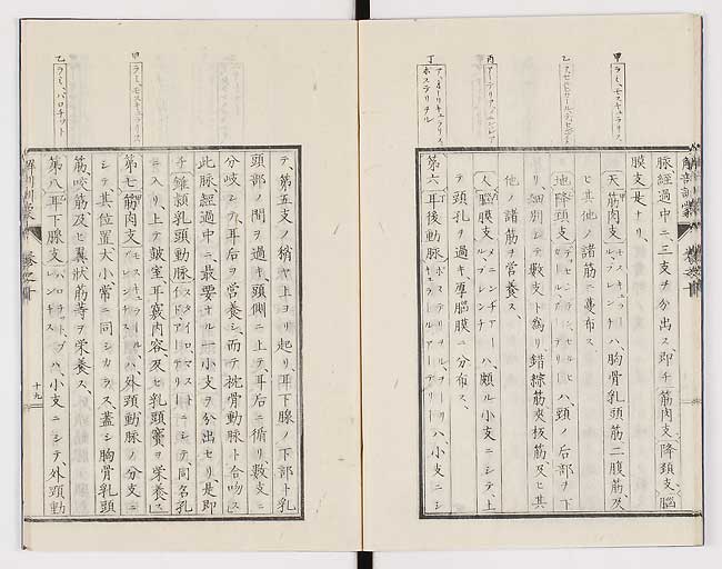 K0021s0324