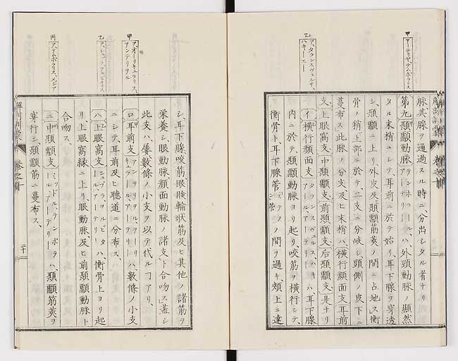 K0021s0325