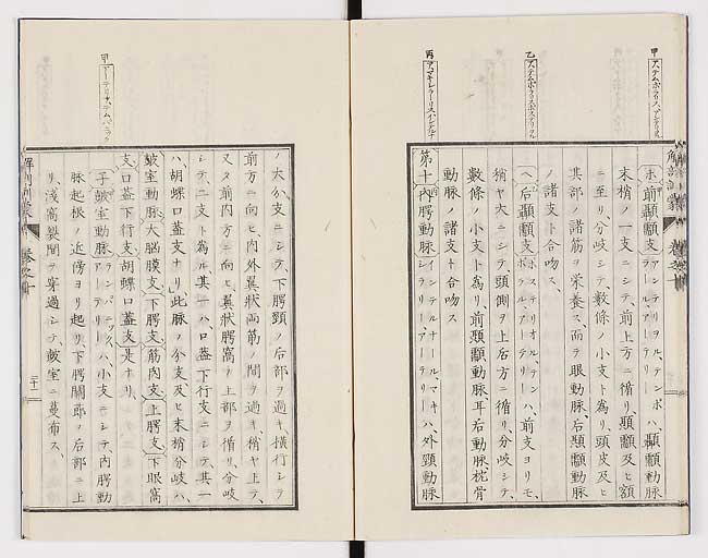 K0021s0326