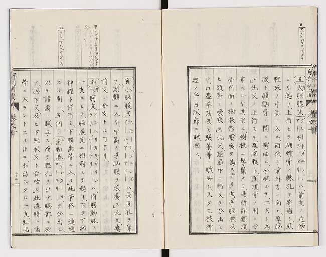 K0021s0327