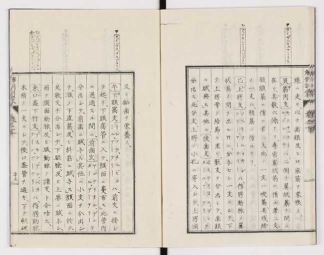 K0021s0328