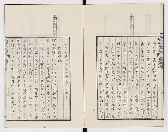 K0021s0329