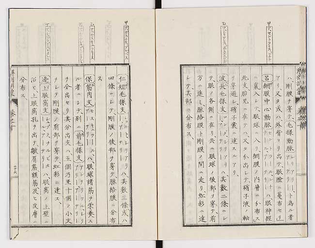 K0021s0331