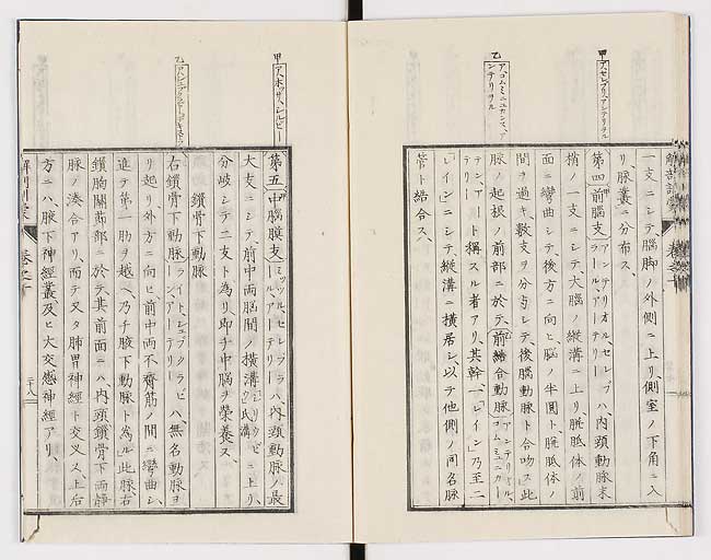 K0021s0333