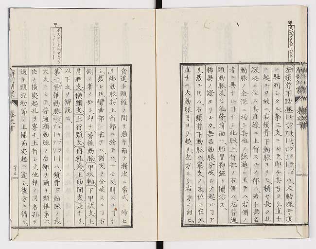 K0021s0334