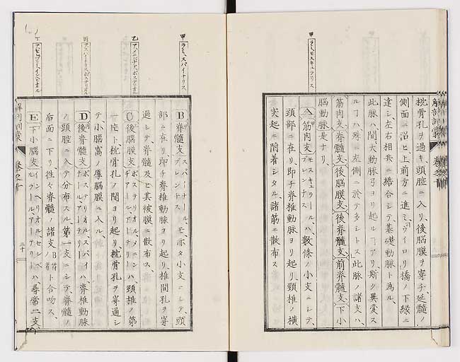 K0021s0335