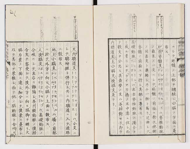 K0021s0336