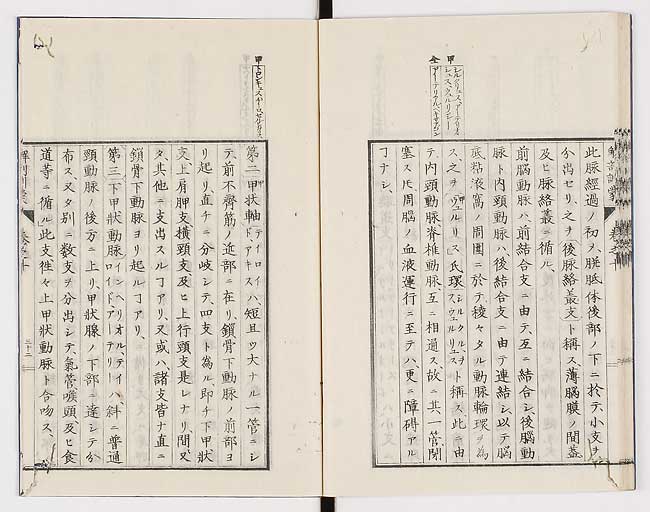 K0021s0337