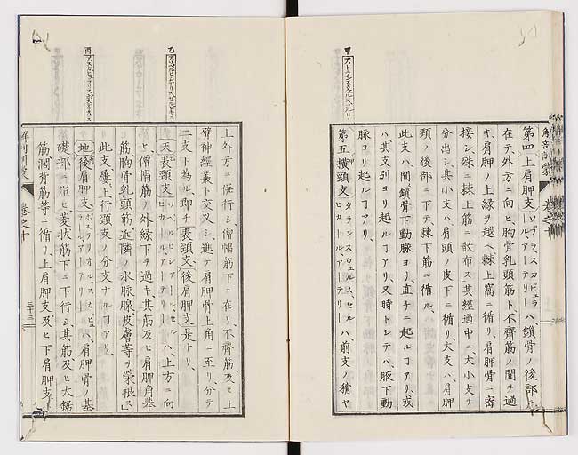 K0021s0338