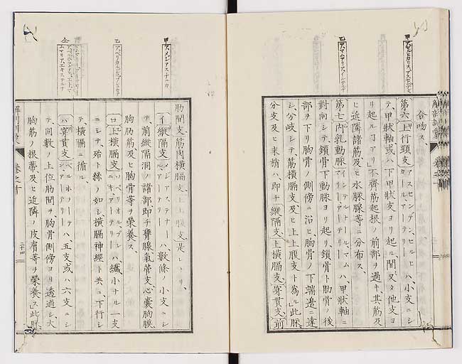 K0021s0339