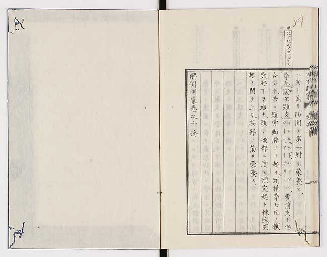 K0021s0341