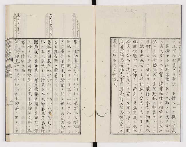 K0021s0345