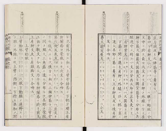 K0021s0346