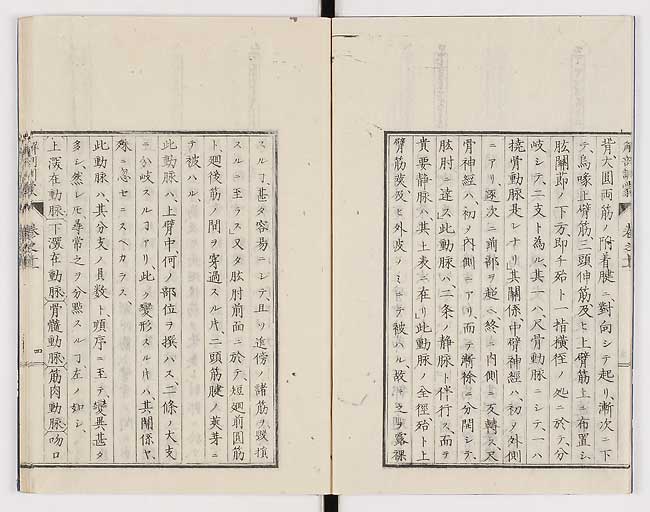 K0021s0347