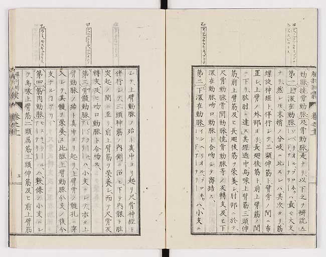 K0021s0348