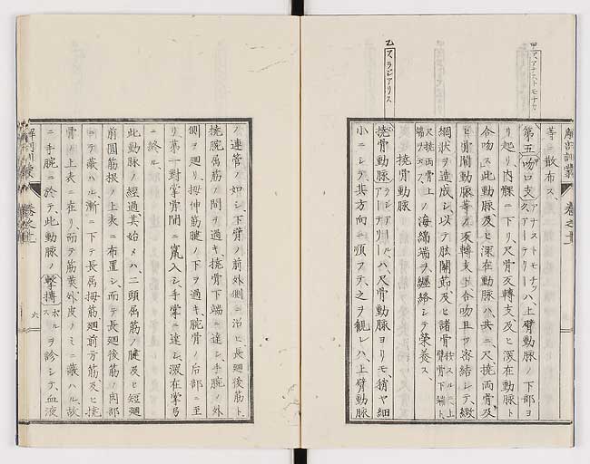 K0021s0349