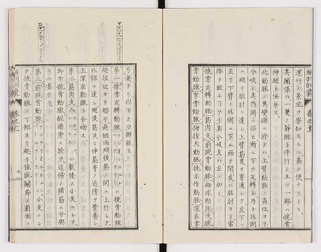 K0021s0350