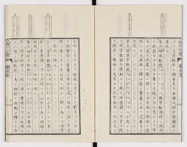 K0021s0351