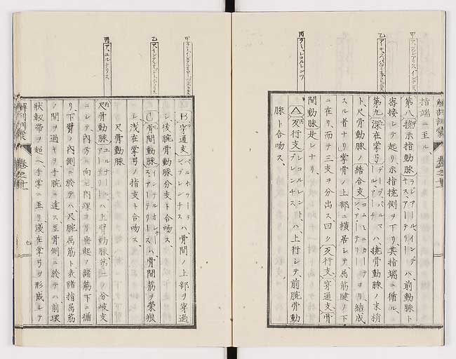 K0021s0352
