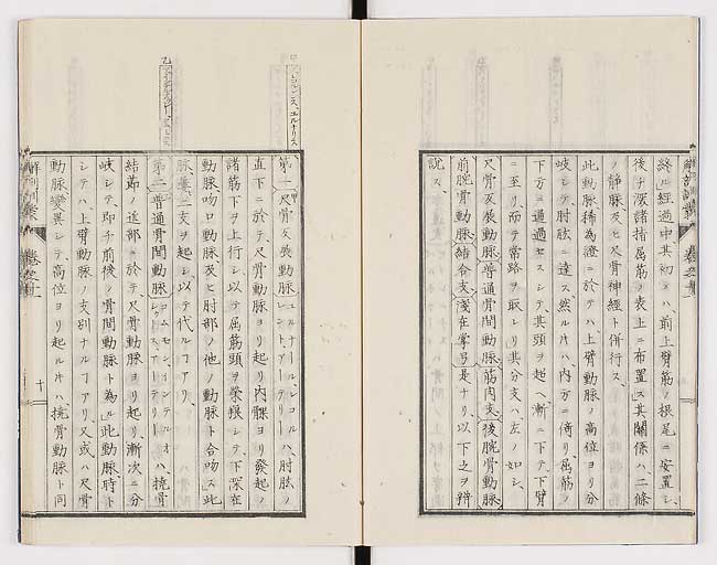 K0021s0353