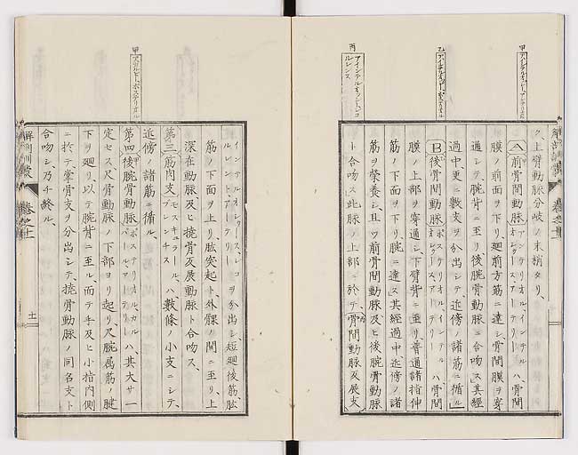 K0021s0354