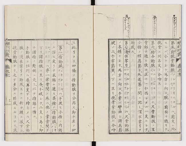 K0021s0355
