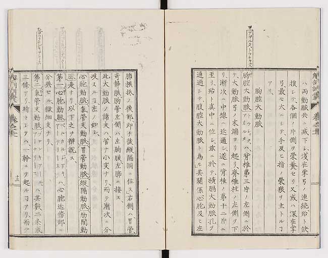 K0021s0356