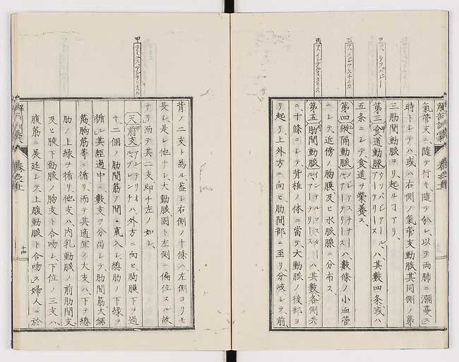 K0021s0357
