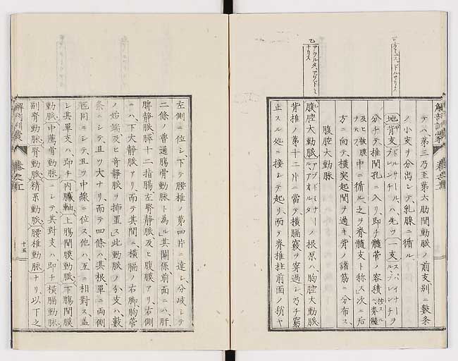 K0021s0358