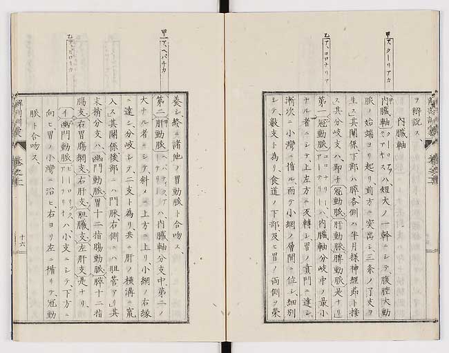 K0021s0359