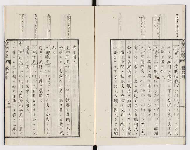 K0021s0360
