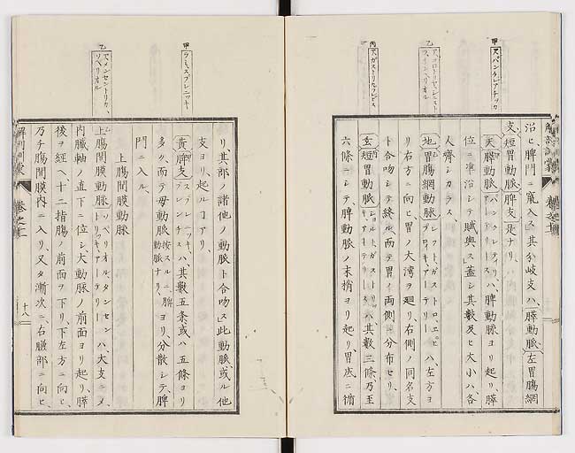 K0021s0361