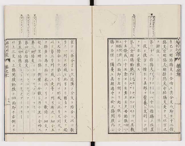 K0021s0362
