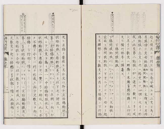 K0021s0363