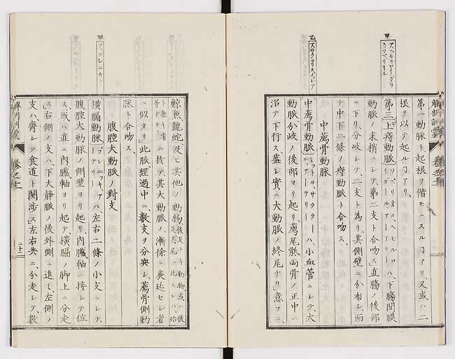 K0021s0364
