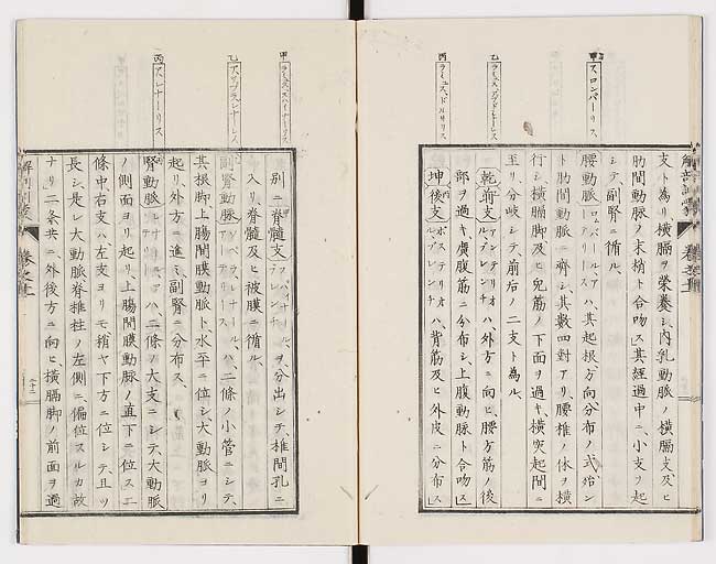 K0021s0365