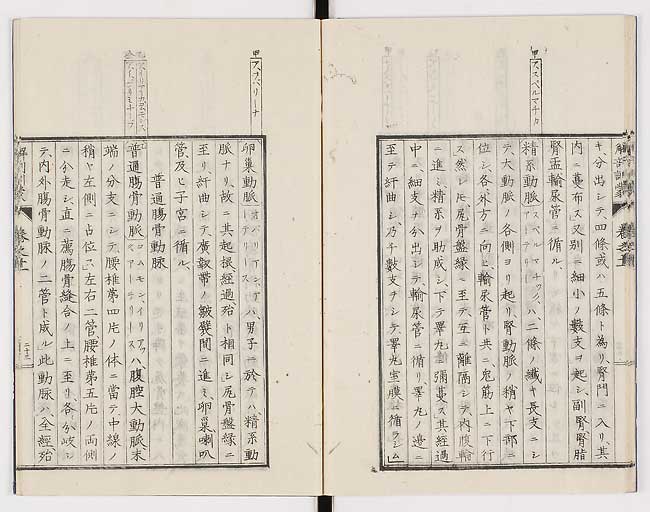 K0021s0366
