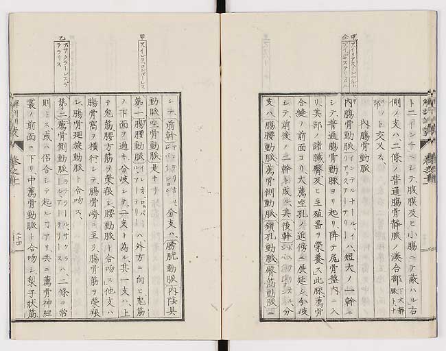 K0021s0367