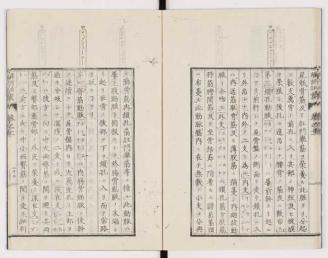 K0021s0368