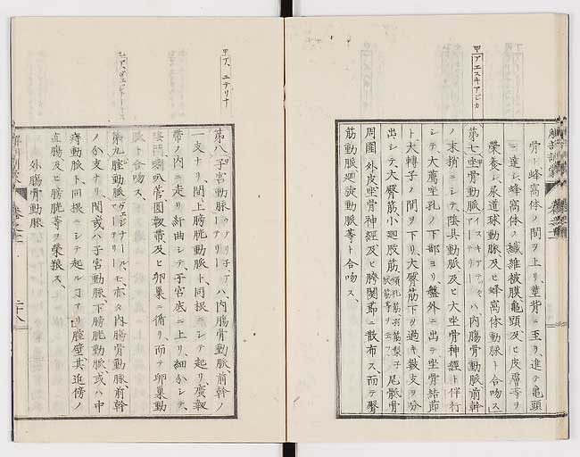 K0021s0371
