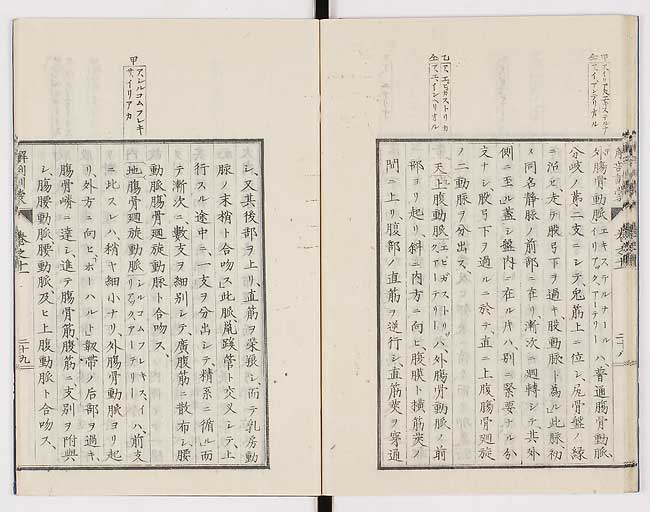 K0021s0372