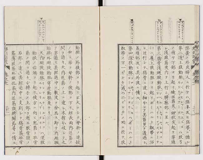 K0021s0374