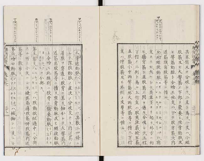 K0021s0375