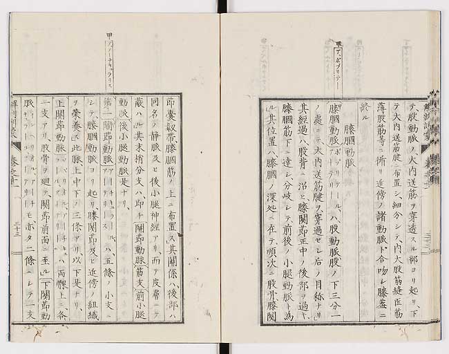 K0021s0376